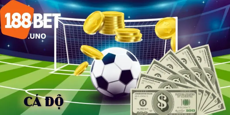 Tỷ lệ cá độ bóng đá